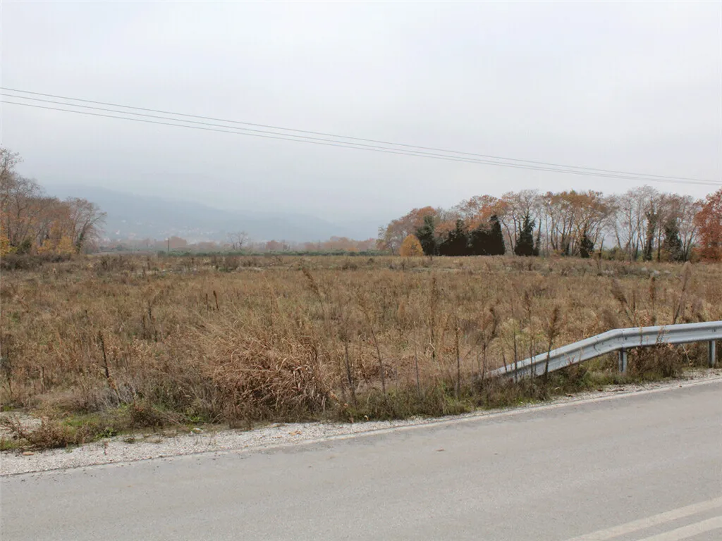 οικόπεδο προς πώληση 40000 τ.μ Δίον Νομός Πιερίας