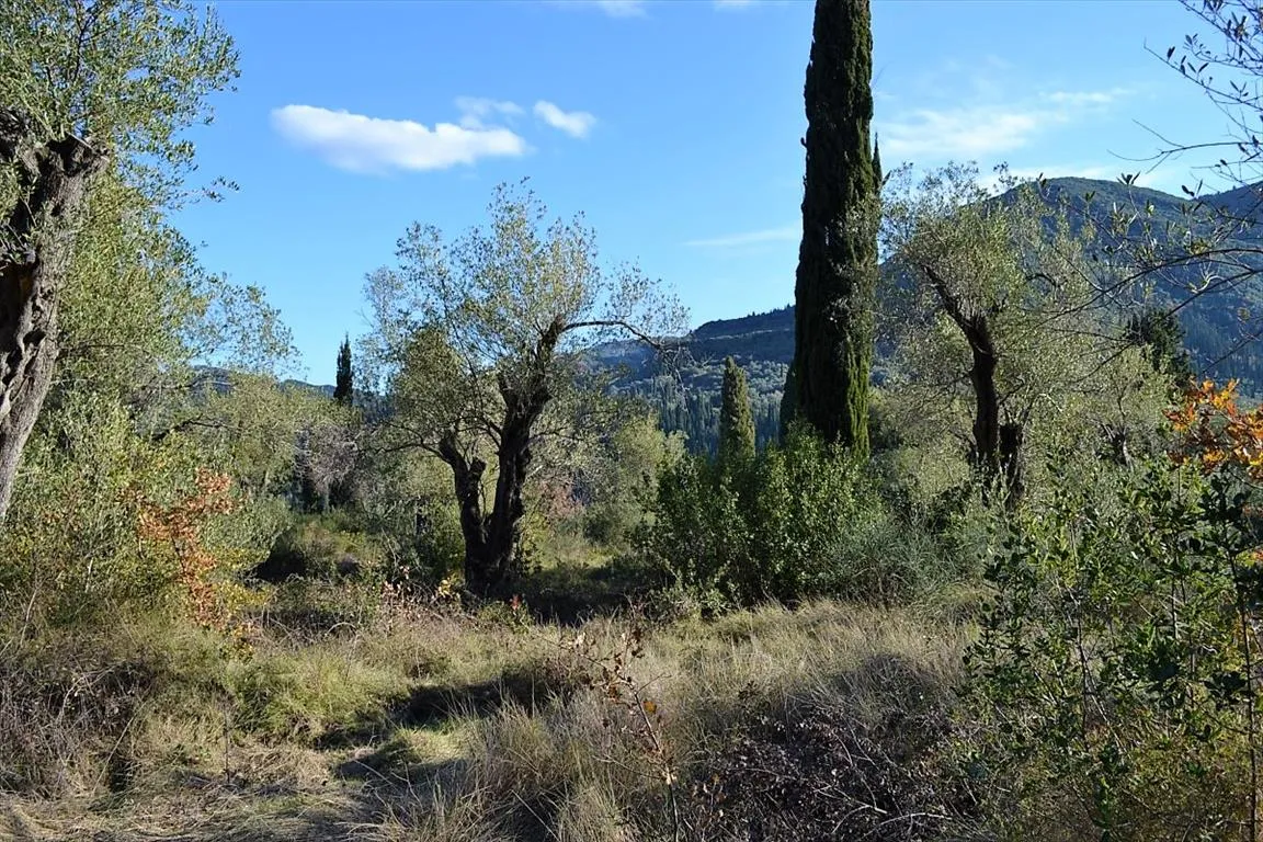 οικόπεδο προς πώληση 8000 τ.μ Κέρκυρα Νομός Κέρκυρας