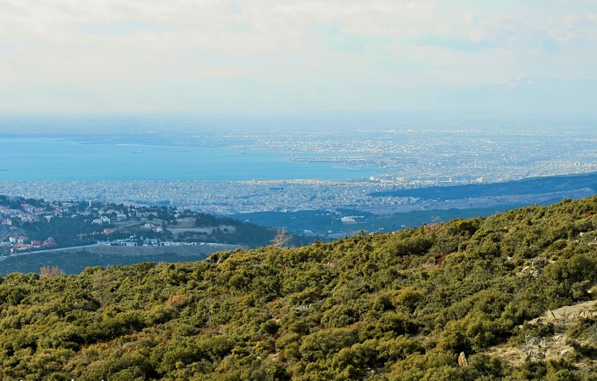 οικόπεδο προς πώληση 800 τ.μ Πανόραμα Προάστια Θεσσαλονίκης