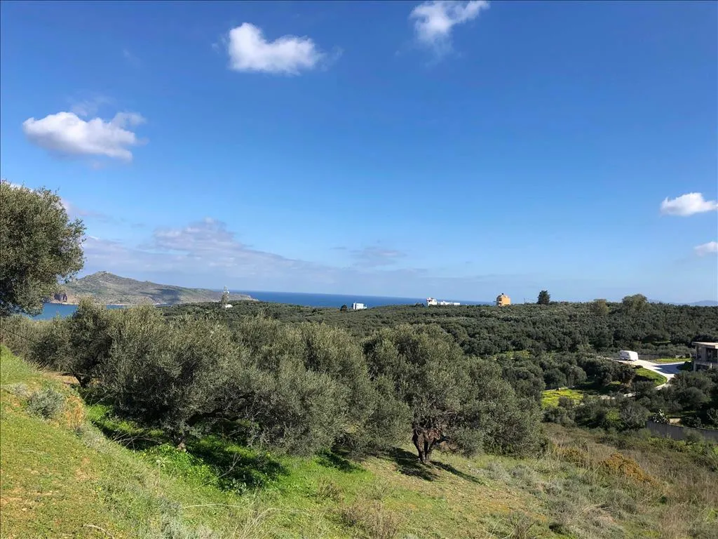 οικόπεδο προς πώληση 4062 τ.μ Νέα Κυδωνία Νομός Χανίων