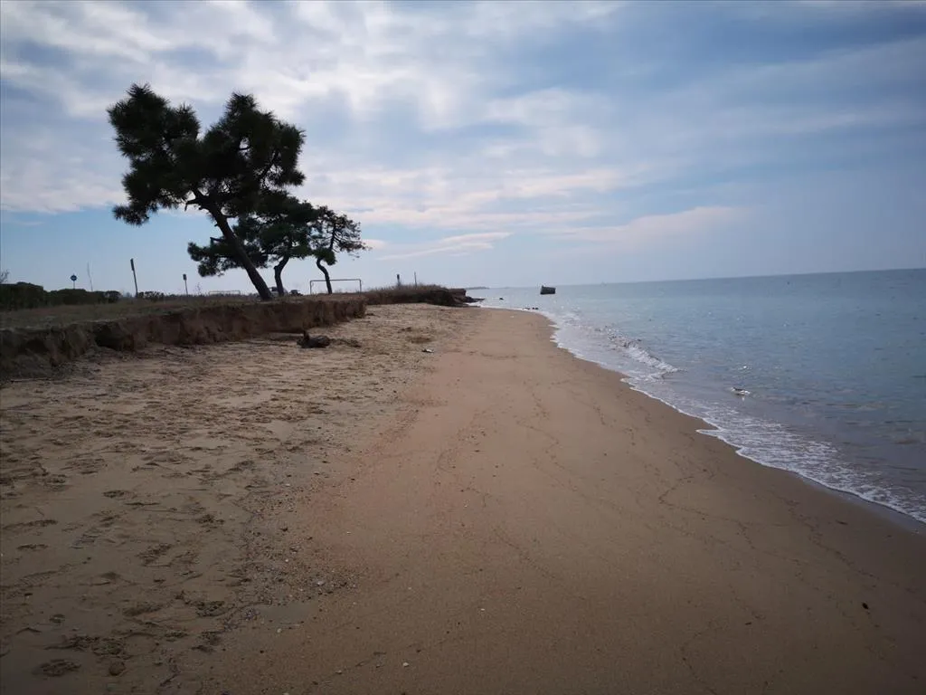 οικόπεδο προς πώληση 8000 τ.μ Νέα Προποντίδα Χαλκιδική