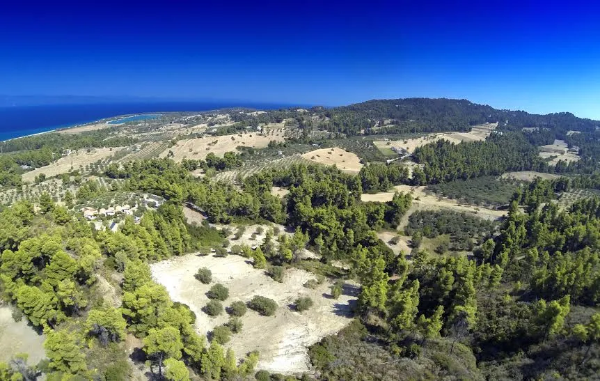 οικόπεδο προς πώληση 12000 τ.μ Κασσάνδρα Χαλκιδική