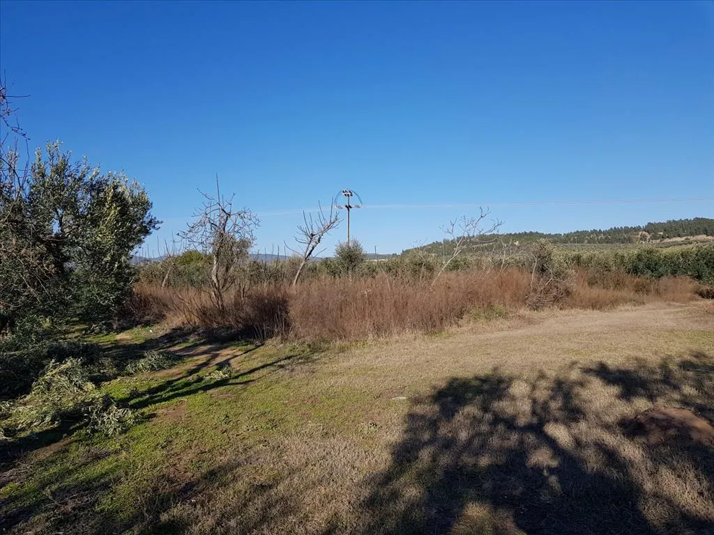 οικόπεδο προς πώληση 1300 τ.μ Πολύγυρος Χαλκιδική