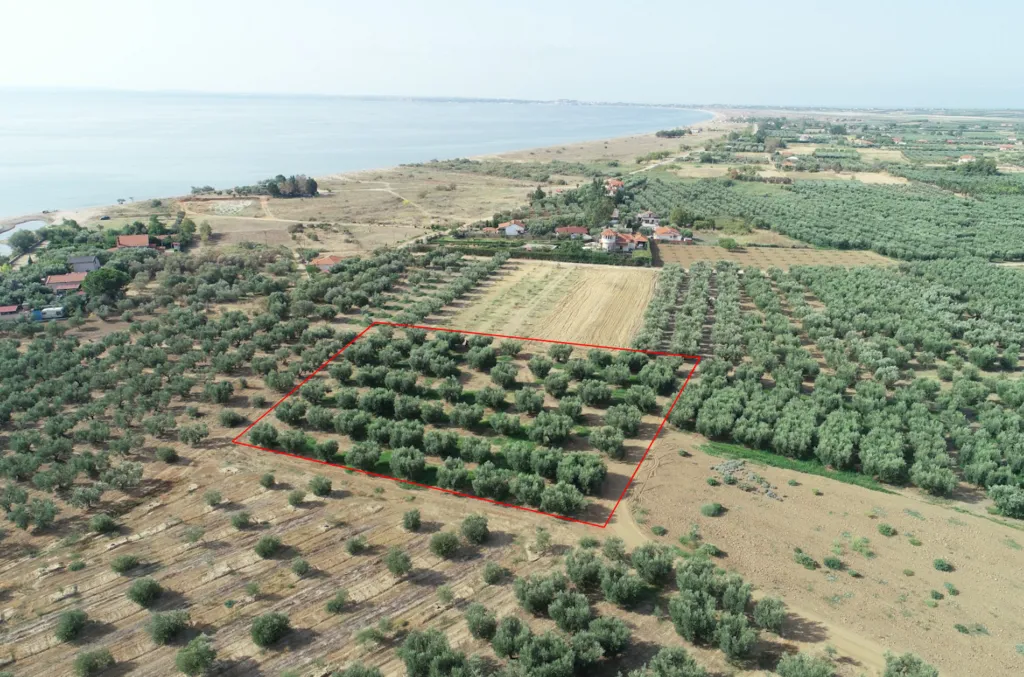 οικόπεδο προς πώληση 4010 τ.μ Νέα Προποντίδα Χαλκιδική