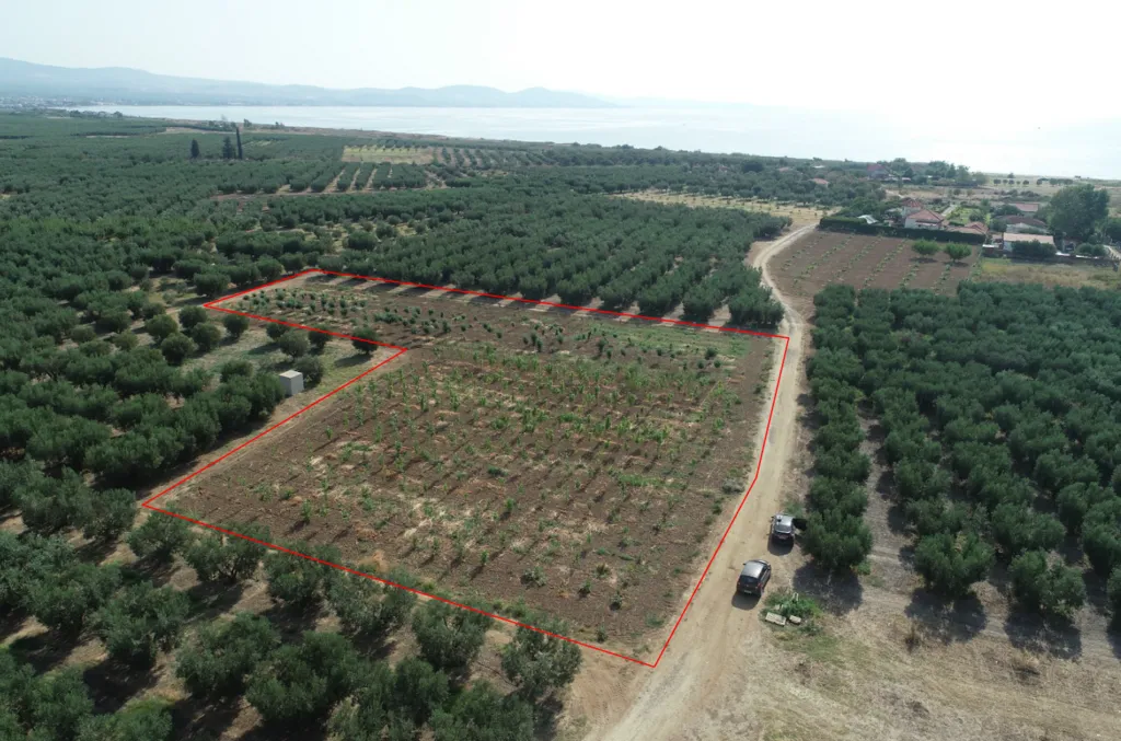 οικόπεδο προς πώληση 4811 τ.μ Νέα Προποντίδα Χαλκιδική
