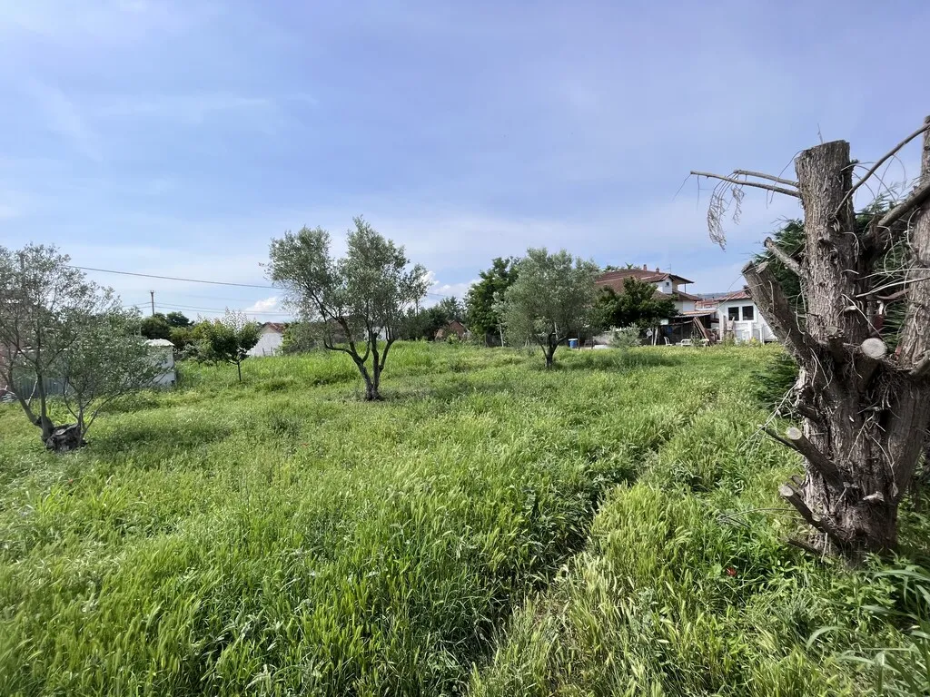 οικόπεδο προς πώληση 1145 τ.μ Λαγκαδάς Υπόλοιπο Νομού Θεσσαλονίκης