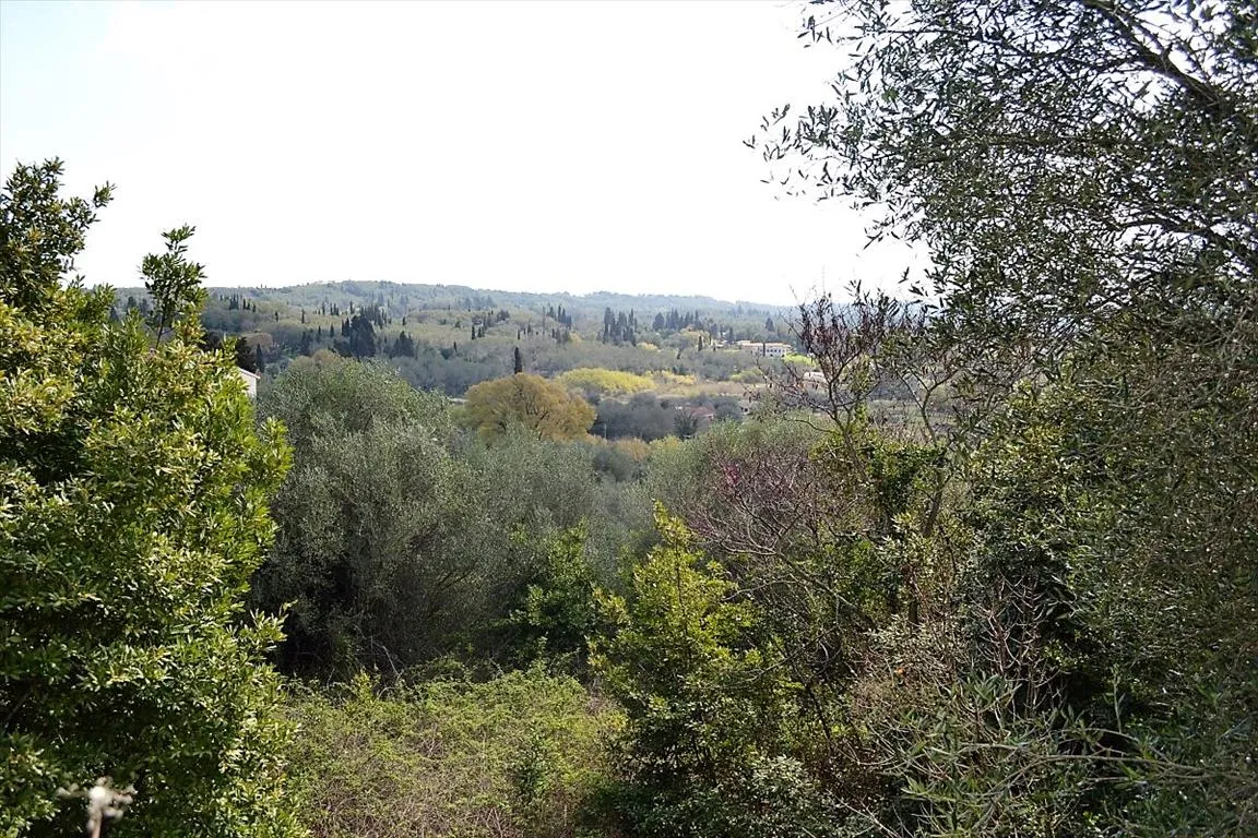 οικόπεδο προς πώληση 4370 τ.μ Κέρκυρα Νομός Κέρκυρας