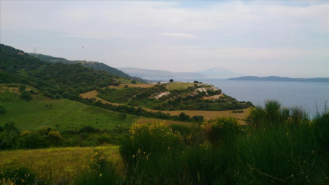 οικόπεδο προς πώληση 11300 τ.μ Αριστοτέλης Χαλκιδική