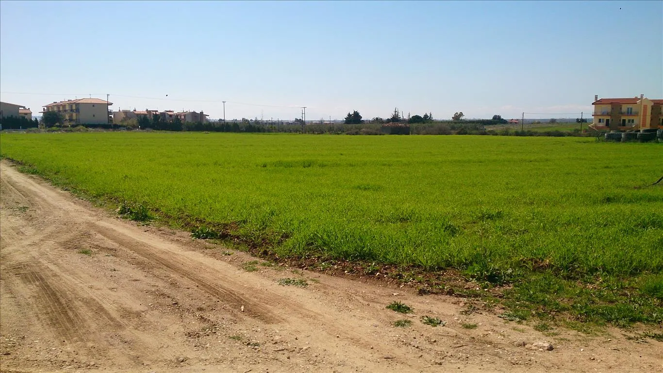οικόπεδο προς πώληση 8800 τ.μ Πολύγυρος Χαλκιδική