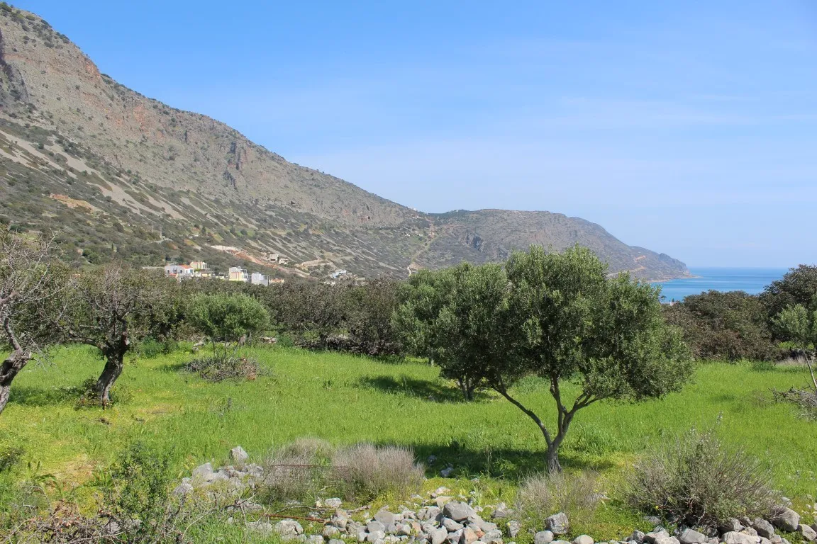 οικόπεδο προς πώληση 5889 τ.μ Άγιος Νικόλαος Νομός Λασιθίου