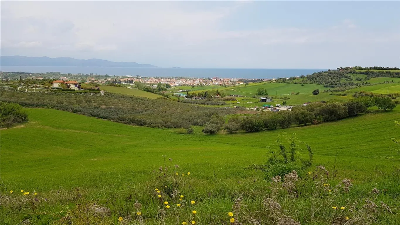 οικόπεδο προς πώληση 18000 τ.μ Αριστοτέλης Χαλκιδική
