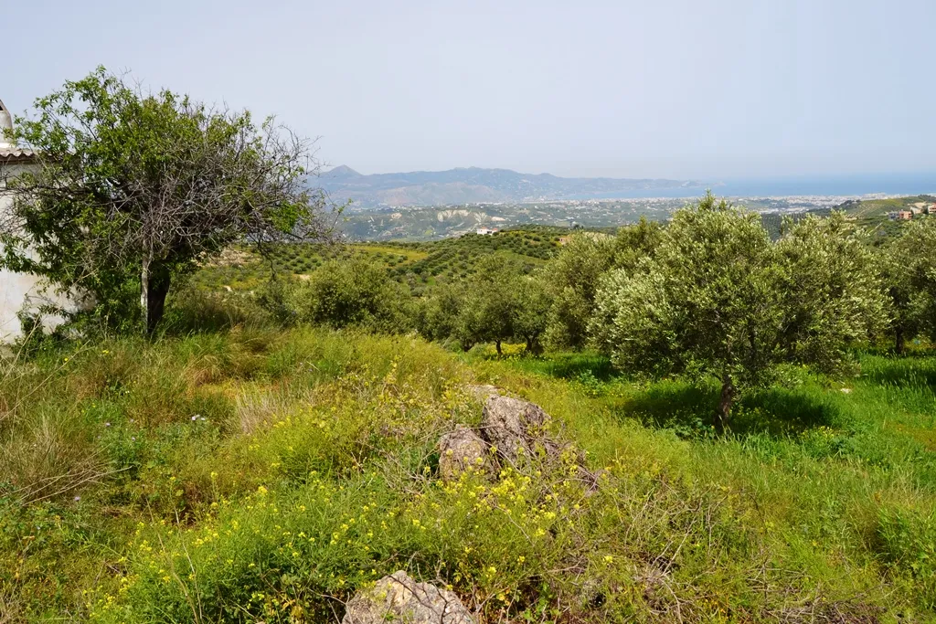 οικόπεδο προς πώληση 2900 τ.μ Ηράκλειο Κρήτης Νομός Ηρακλείου