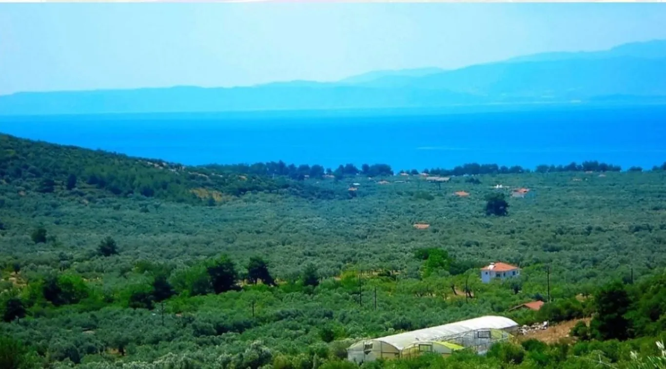 οικόπεδο προς πώληση 25000 τ.μ Θάσος Νομός Καβάλας