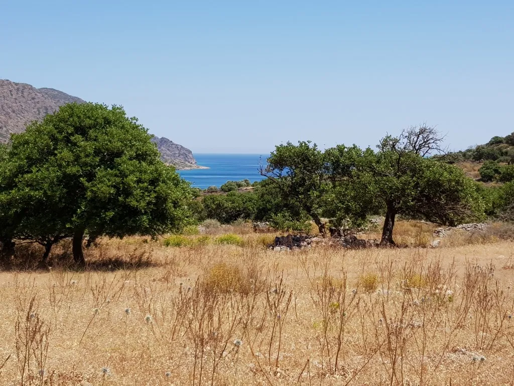οικόπεδο προς πώληση 8000 τ.μ Άγιος Νικόλαος Νομός Λασιθίου