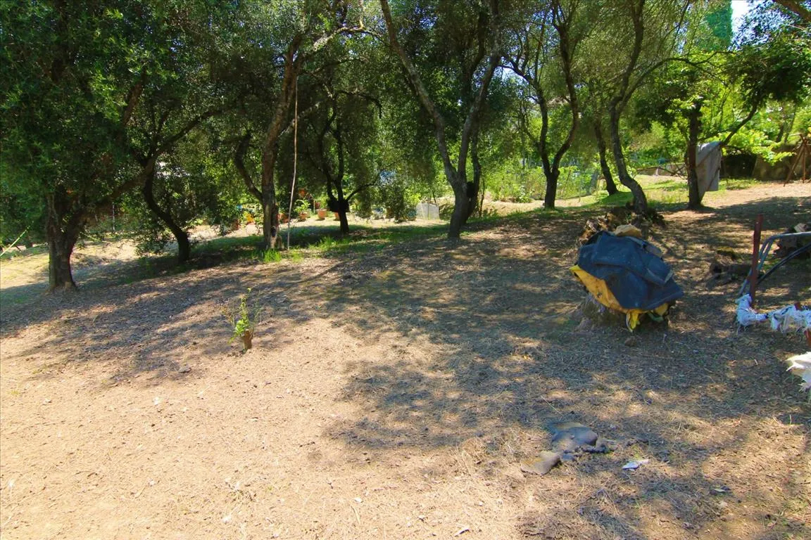 οικόπεδο προς πώληση 1350 τ.μ Κέρκυρα Νομός Κέρκυρας