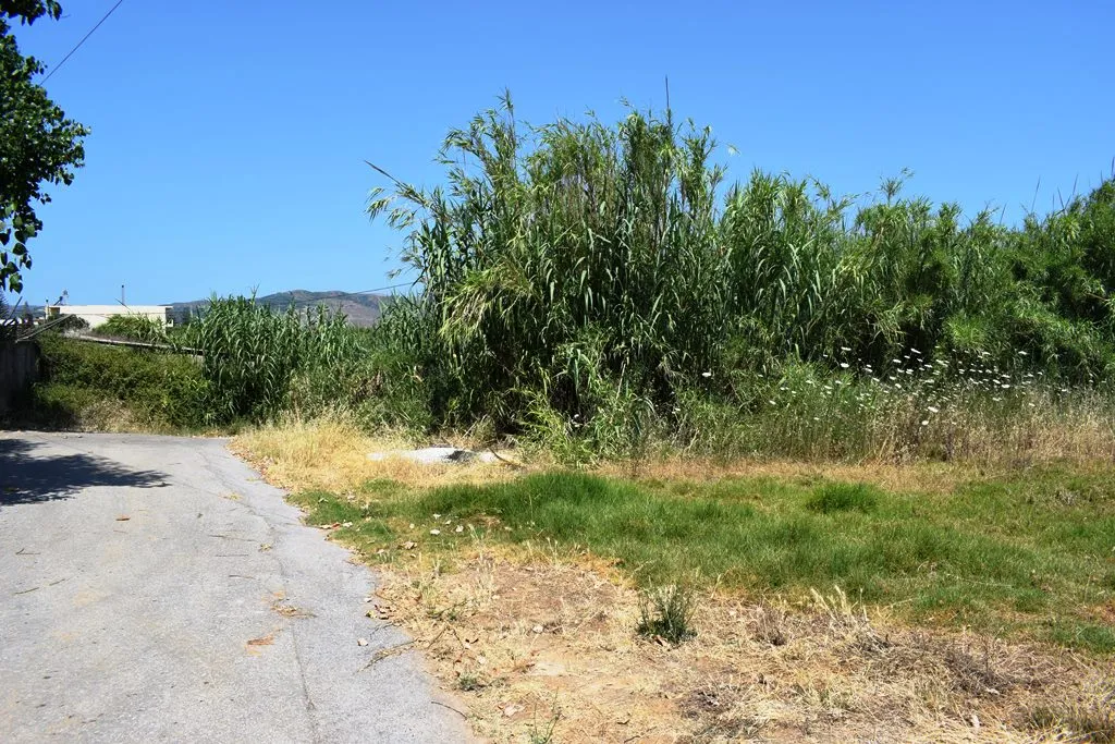 οικόπεδο προς πώληση 1000 τ.μ Κολυμβάρι Νομός Χανίων