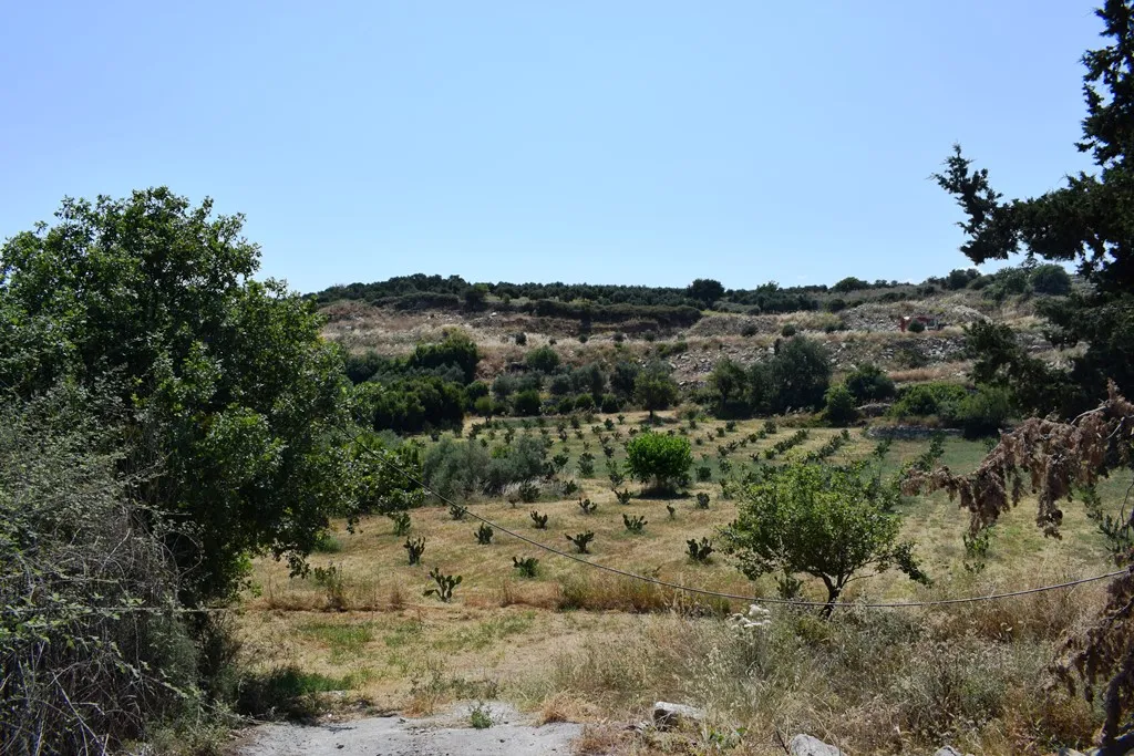 οικόπεδο προς πώληση 8500 τ.μ Λάππα Νομός Ρεθύμνου