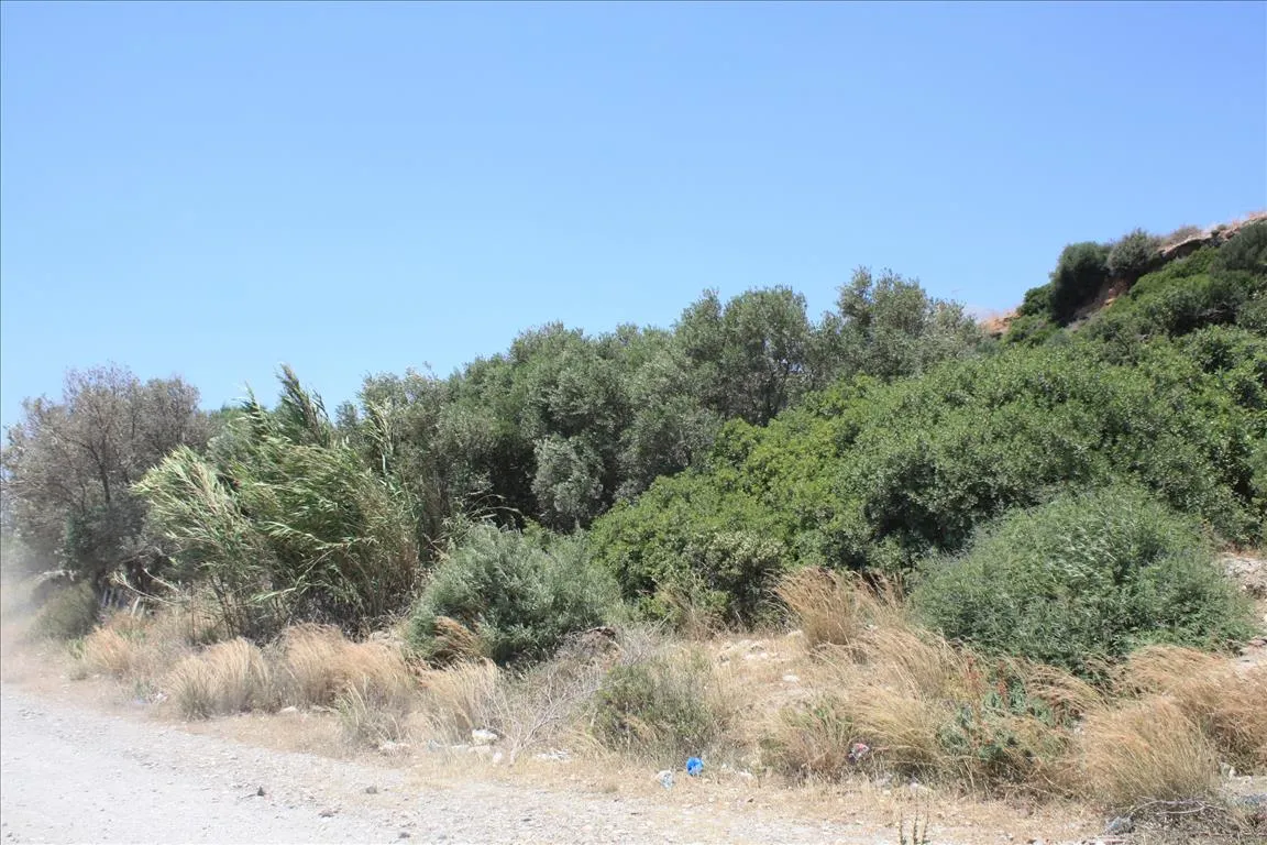 οικόπεδο προς πώληση 1000 τ.μ  Νομός Χανίων