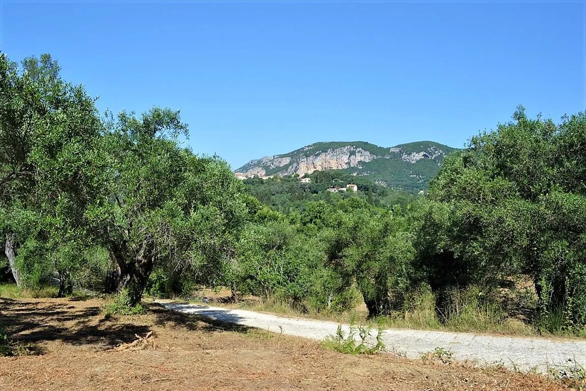 οικόπεδο προς πώληση 4130 τ.μ Κέρκυρα Νομός Κέρκυρας