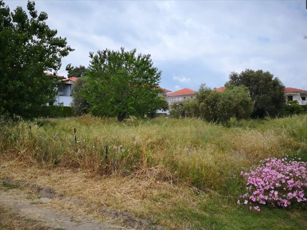 οικόπεδο προς πώληση 4500 τ.μ Κασσάνδρα Χαλκιδική