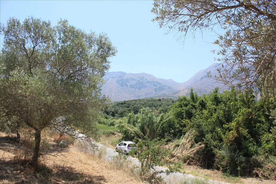 οικόπεδο προς πώληση 4647 τ.μ Γεωργιούπολη Νομός Χανίων