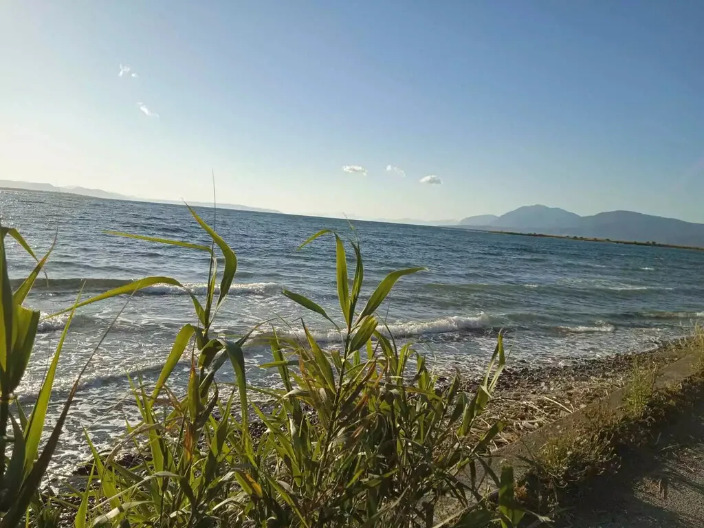 οικόπεδο προς πώληση 2750 τ.μ Χαλκίδα Εύβοια