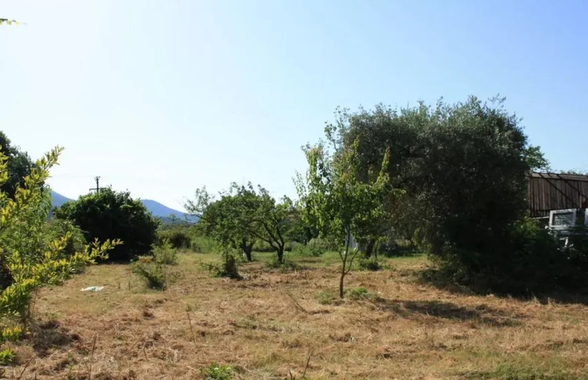 οικόπεδο προς πώληση 737 τ.μ Θάσος Νομός Καβάλας