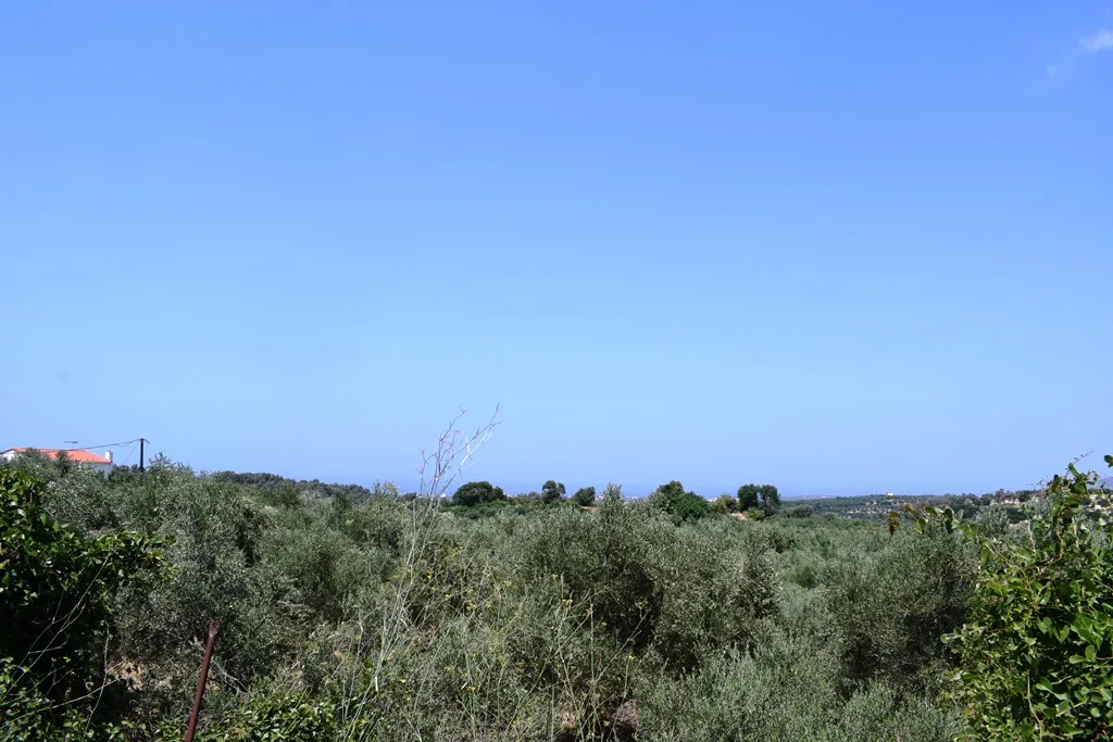 οικόπεδο προς πώληση 11500 τ.μ Αρκάδι Νομός Ρεθύμνου