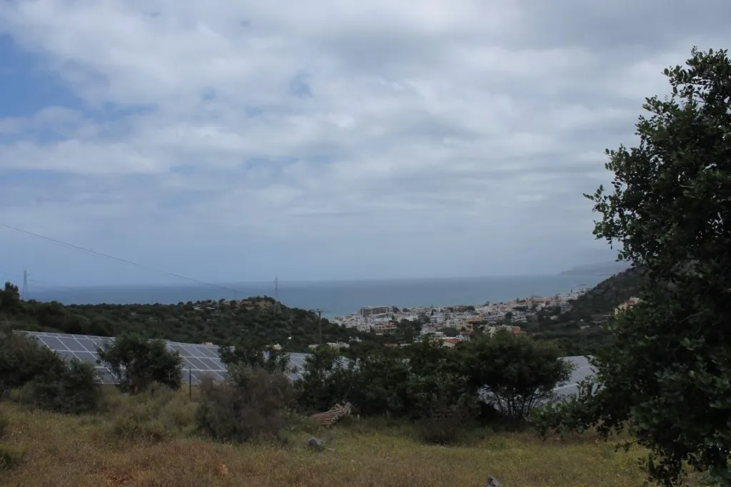 επιχείρηση προς πώληση 4000 τ.μ Μάλια Νομός Ηρακλείου