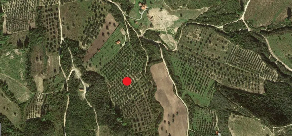 οικόπεδο προς πώληση 4327 τ.μ Κασσάνδρα Χαλκιδική