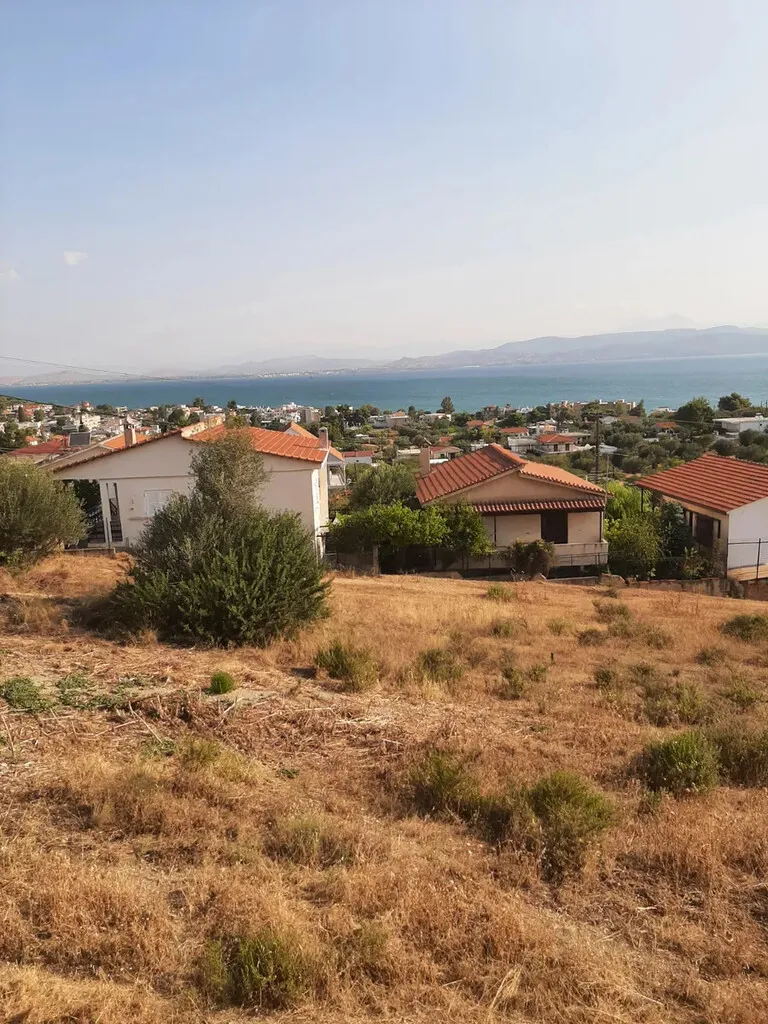 μεζονέτα προς πώληση 130 τ.μ Οινοφύτα Βοιωτία