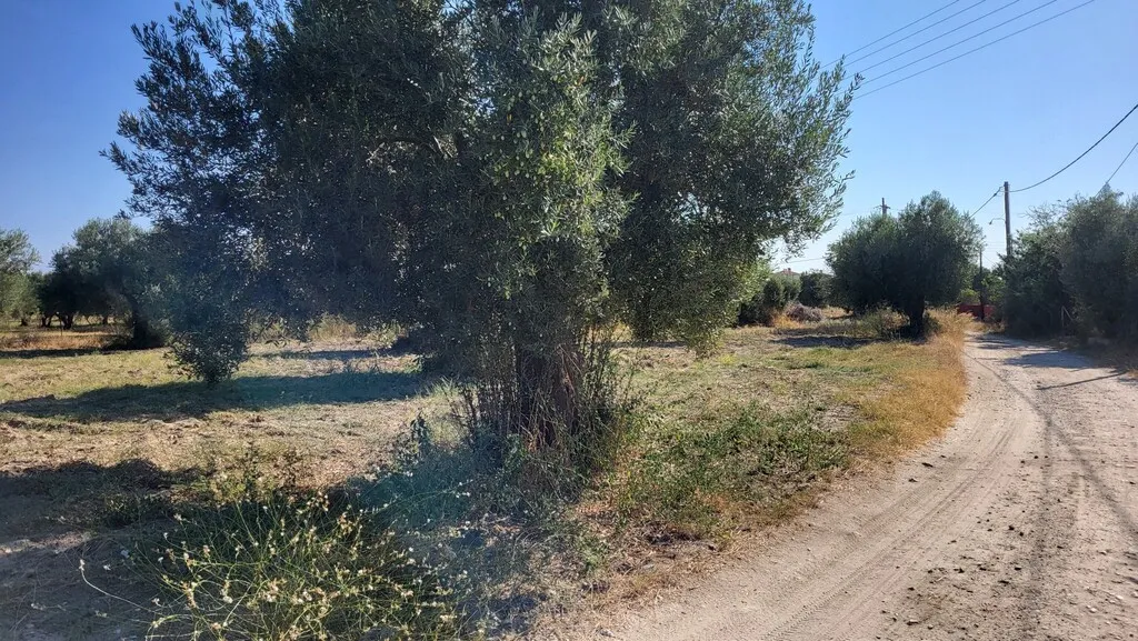 οικόπεδο προς πώληση 3500 τ.μ Κασσάνδρα Χαλκιδική