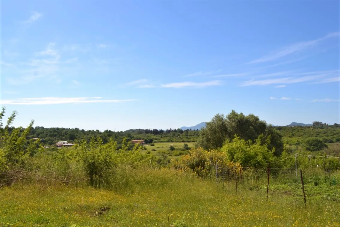 οικόπεδο προς πώληση 12044 τ.μ Κέρκυρα Νομός Κέρκυρας