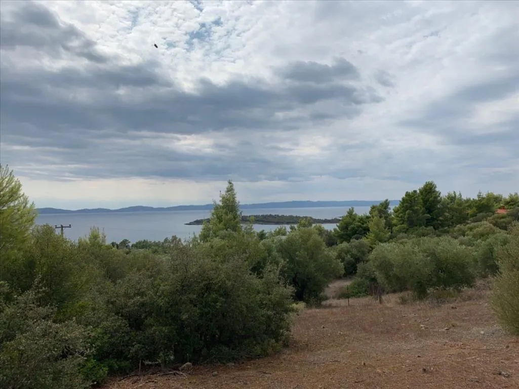 οικόπεδο προς πώληση 12458 τ.μ Σιθωνία Χαλκιδική