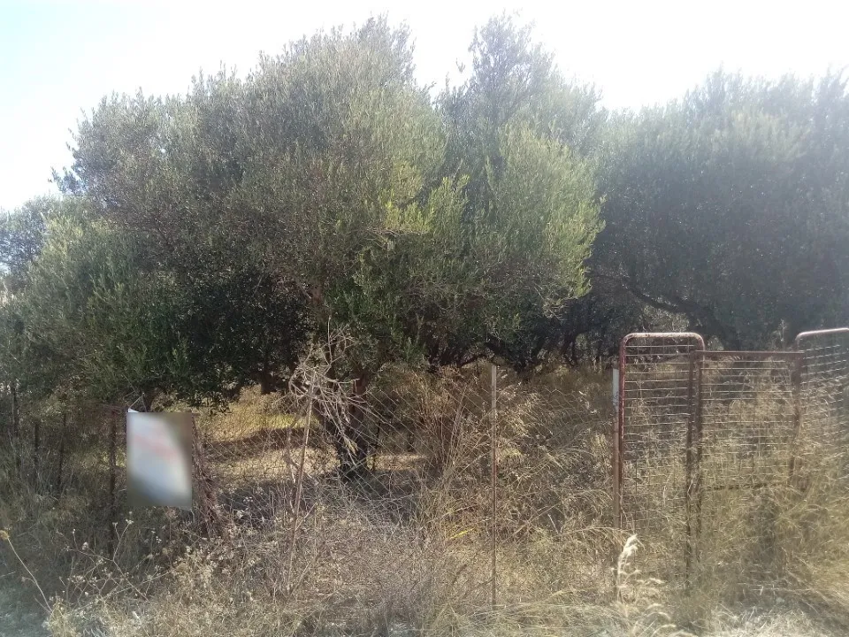 οικόπεδο προς πώληση 2500 τ.μ Γάζι Νομός Ηρακλείου