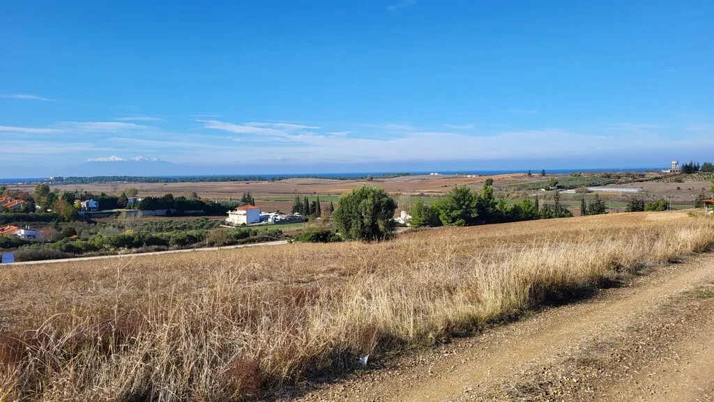 οικόπεδο προς πώληση 5000 τ.μ Κασσάνδρα Χαλκιδική