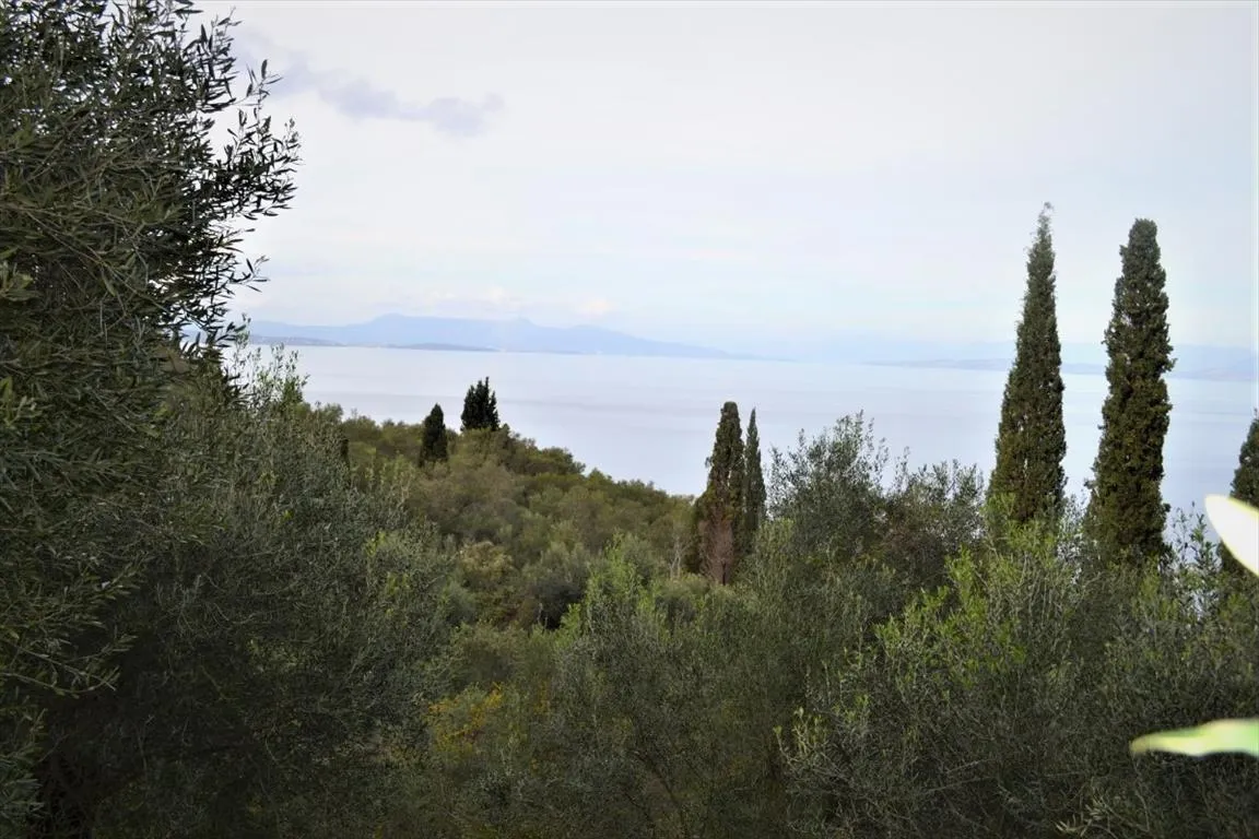 οικόπεδο προς πώληση 10000 τ.μ Κέρκυρα Νομός Κέρκυρας