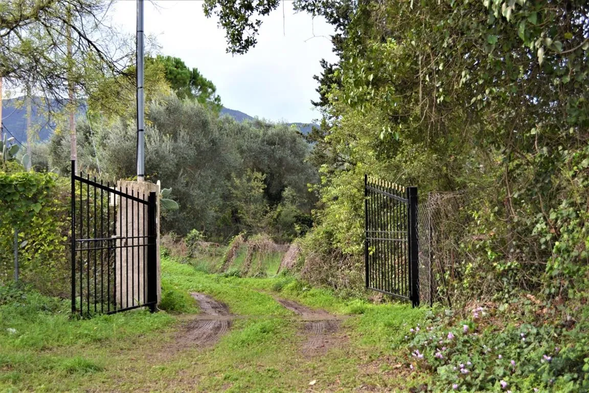 1152