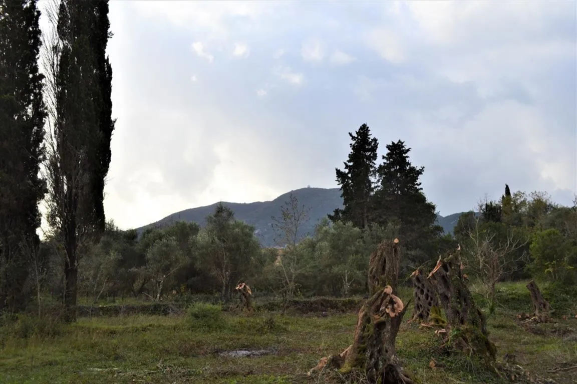οικόπεδο προς πώληση 10000 τ.μ Κέρκυρα Νομός Κέρκυρας