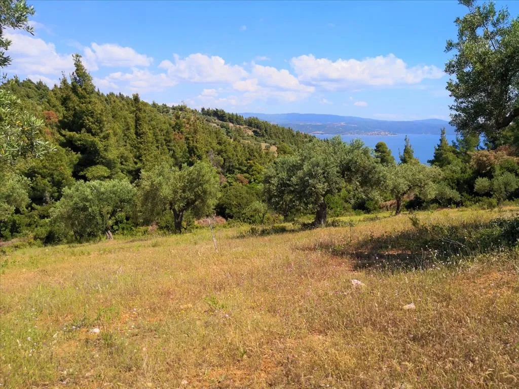 οικόπεδο προς πώληση 5400 τ.μ Σιθωνία Χαλκιδική