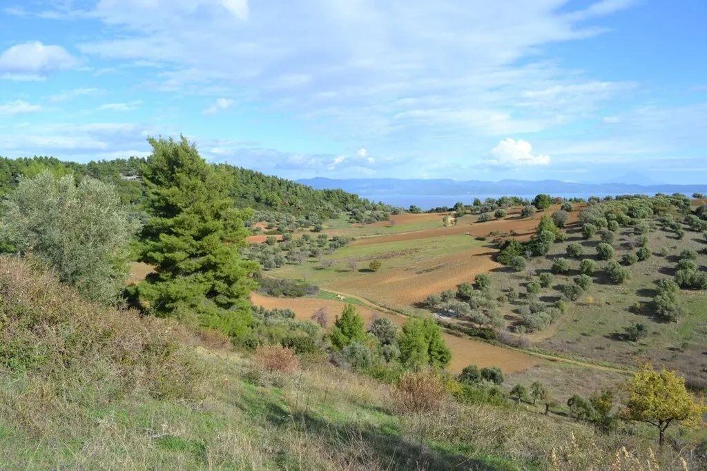 οικόπεδο προς πώληση 5100 τ.μ Κασσάνδρα Χαλκιδική