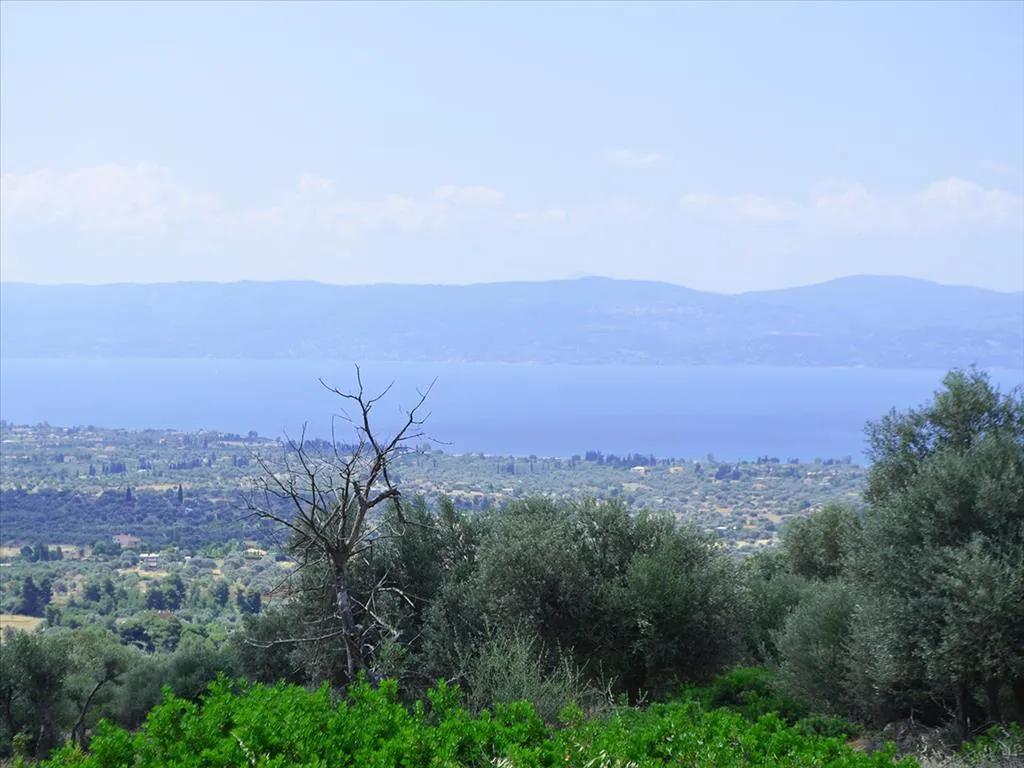 οικόπεδο προς πώληση 45000 τ.μ Ερέτρια Εύβοια