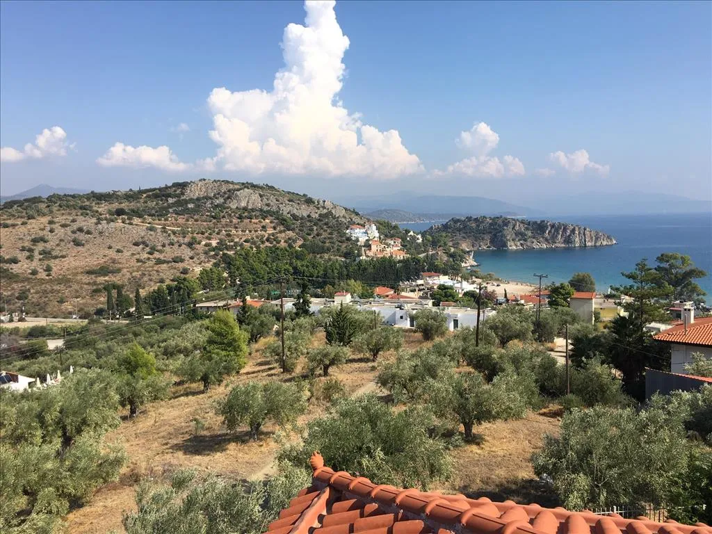 οικόπεδο προς πώληση 4751 τ.μ Ασίνη Αργολίδα