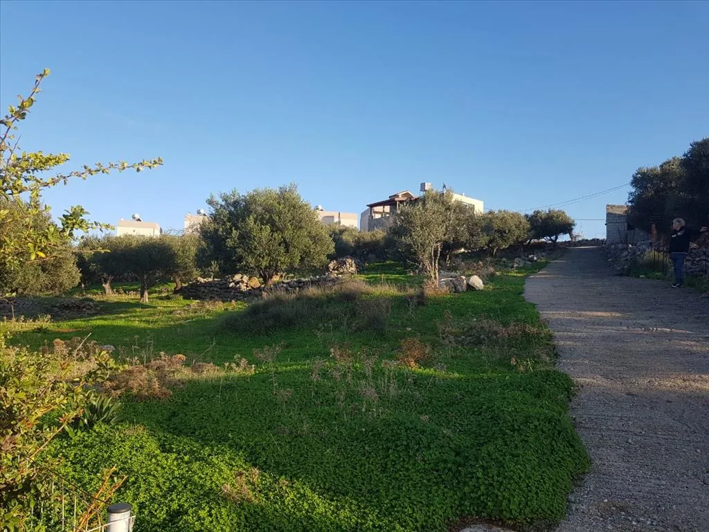 οικόπεδο προς πώληση 1247 τ.μ Νεάπολη Νομός Λασιθίου