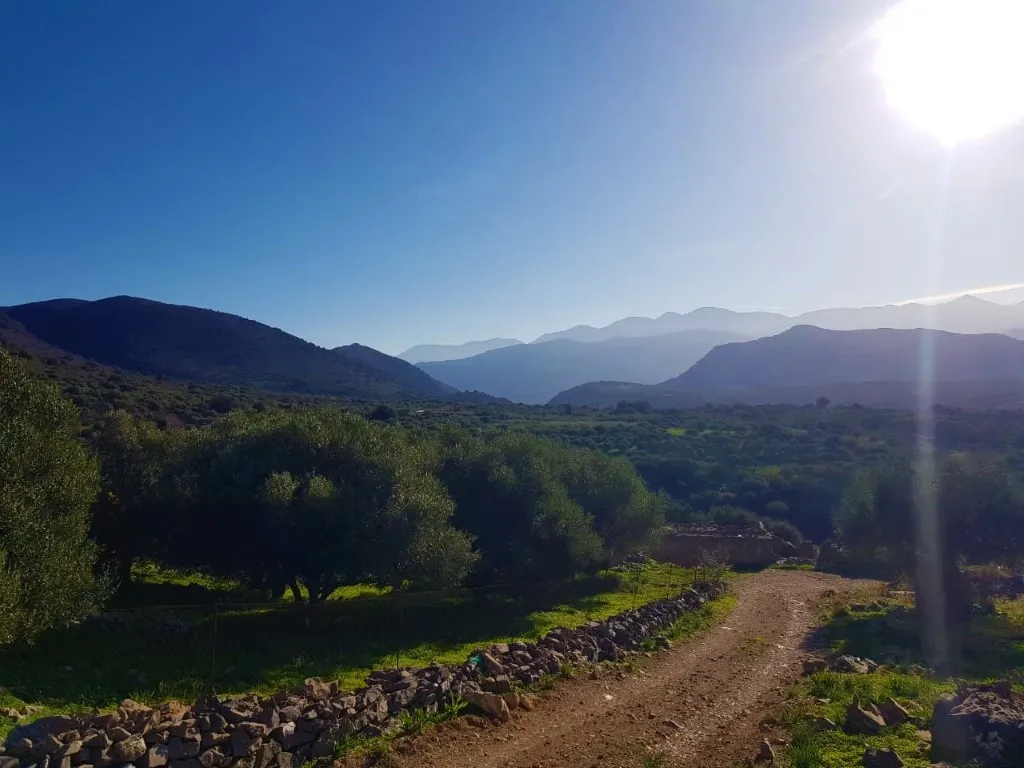 οικόπεδο προς πώληση 944 τ.μ Νεάπολη Νομός Λασιθίου