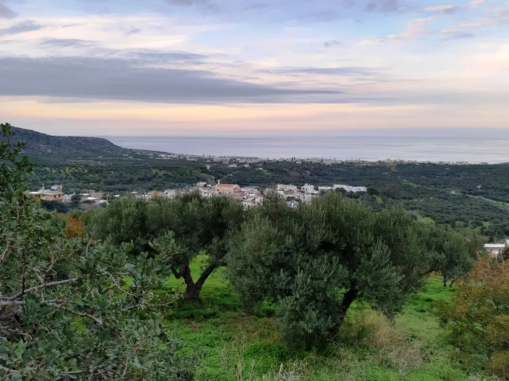 οικόπεδο προς πώληση 2000 τ.μ Νεάπολη Νομός Λασιθίου