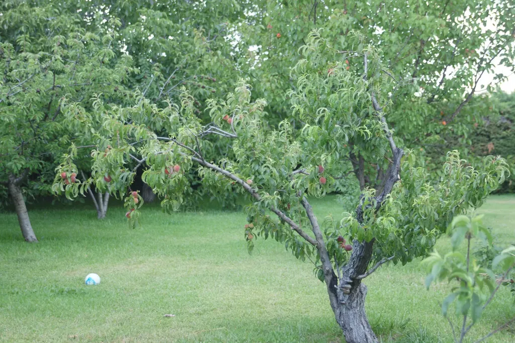 1024