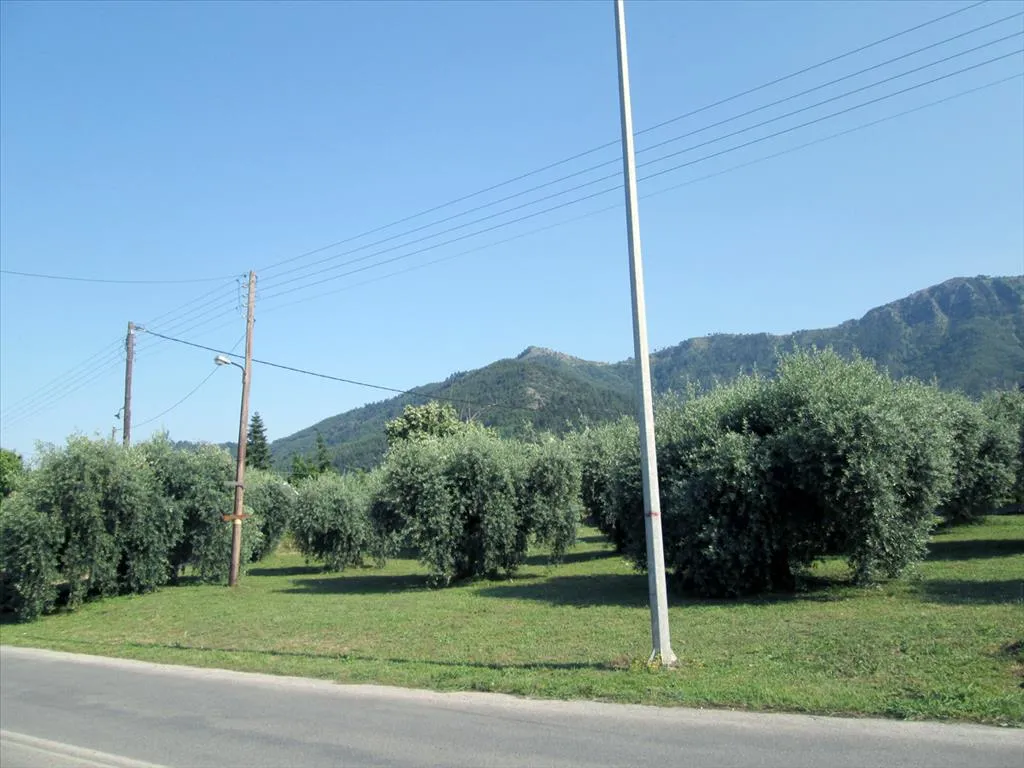 οικόπεδο προς πώληση 1137 τ.μ Θάσος Νομός Καβάλας
