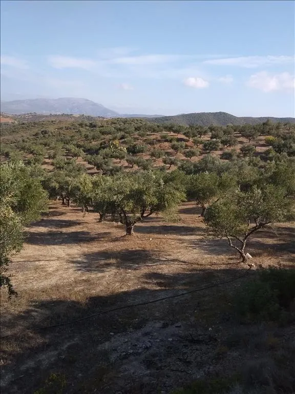 οικόπεδο προς πώληση 38000 τ.μ Αμάρυνθος Εύβοια