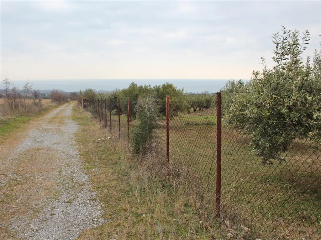 οικόπεδο προς πώληση 9062 τ.μ Δίον Νομός Πιερίας